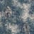 Bild von 